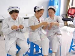 508603a71c7ed555010f090422becf3