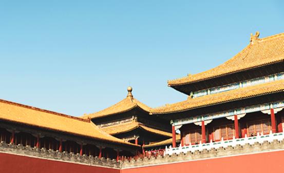 e33ee6a20604fbe9027d3b691fea92a5