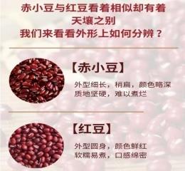 1微信图片_20240520224449