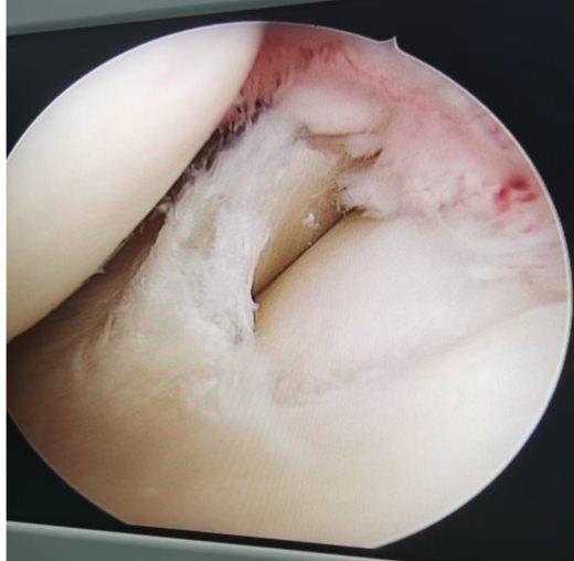 141ad9d12e1a057ca98a06821364b422