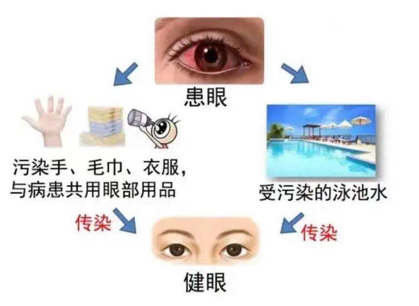 图片2 图片2.png